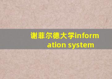 谢菲尔德大学information system